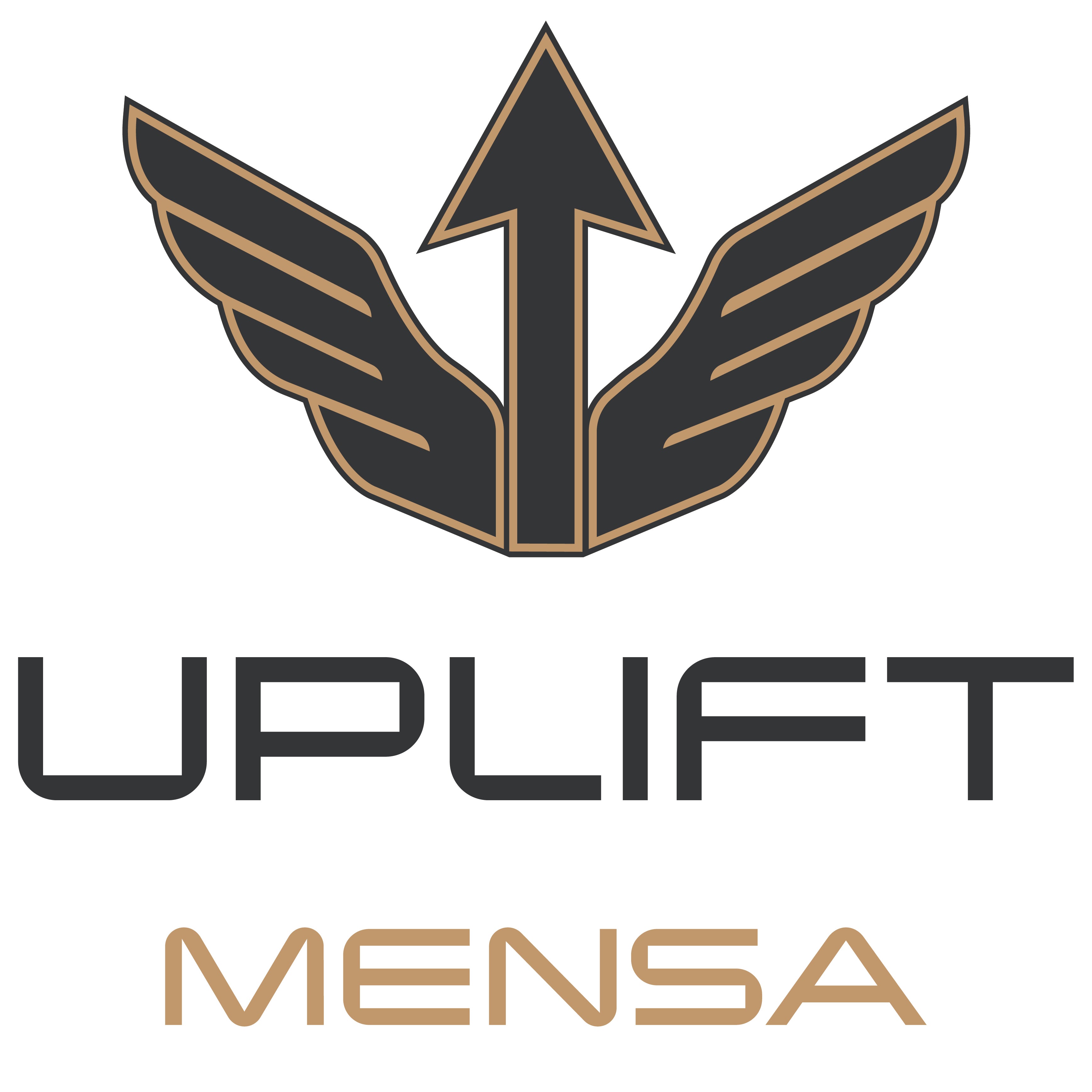 Widebody Paddle - Mensa